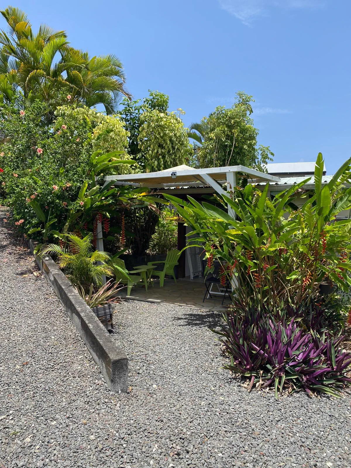 L'allée gravillonnée menant au studio, entre les massifs de plantes tropicales